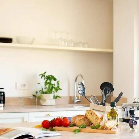 Windows On Dome Luxury Rooftop Apartman Firenze