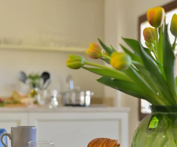 Windows On Dome Luxury Rooftop * Floransa